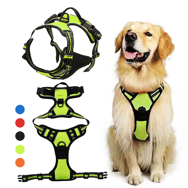 PetGrip™ – Hållbart & Bekvämt Nylon Hundkoppel för Trygga Promenader!