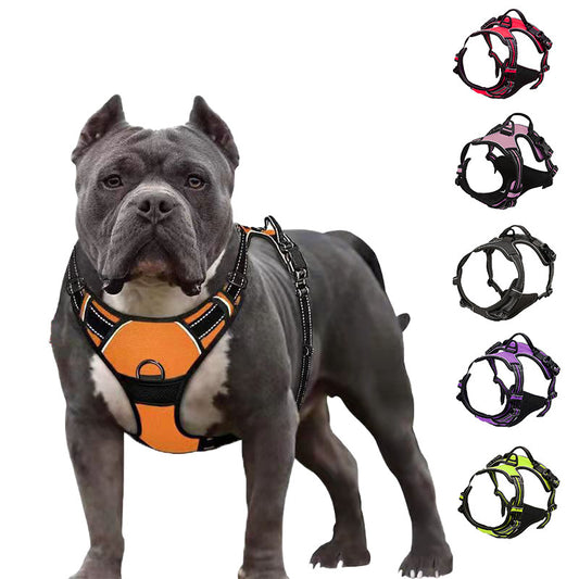 PetGrip™ – Hållbart & Bekvämt Nylon Hundkoppel för Trygga Promenader!