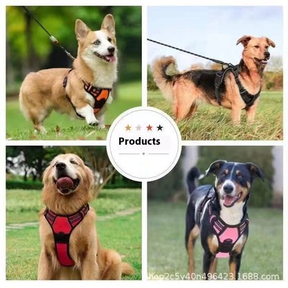 PetGrip™ – Hållbart & Bekvämt Nylon Hundkoppel för Trygga Promenader!