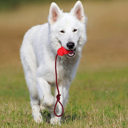 Pet Toy Natural Rubber Rope Hoist